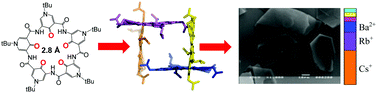 Graphical abstract: Tuning cation-binding selectivity and capacity via side chain-dependent molecular packing in the solid state