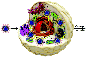 Graphical abstract: Hollow silica nanospheres coated with insoluble calcium salts for pH-responsive sustained release of anticancer drugs