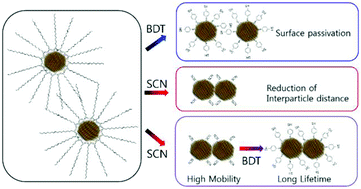 Graphical abstract: Engineering the surface chemistry of lead chalcogenide nanocrystal solids to enhance carrier mobility and lifetime in optoelectronic devices