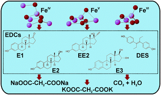 Graphical abstract: High-valent iron (FeVI, FeV, and FeIV) species in water: characterization and oxidative transformation of estrogenic hormones