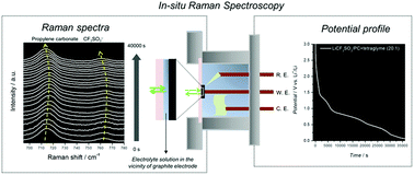 Graphical abstract: In situ Raman investigation of electrolyte solutions in the vicinity of graphite negative electrodes