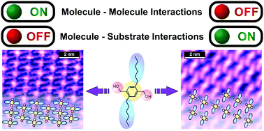 Graphical abstract: Understanding molecular self-assembly of a diol compound by considering competitive interactions