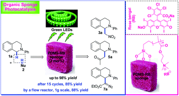 Graphical abstract: Organic sponge photocatalysis