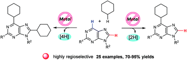 Graphical abstract: Synthesis of cycloalkyl substituted purine nucleosides via a metal-free radical route