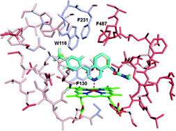 Graphical abstract: Synthesis of annulated pyridines as inhibitors of aldosterone synthase (CYP11B2)