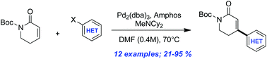 Graphical abstract: Palladium-catalyzed β-(hetero)arylation of α,β-unsaturated valerolactams