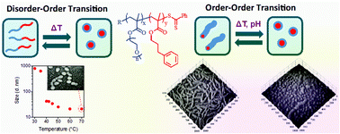 Graphical abstract: Triply responsive soft matter nanoparticles based on poly[oligo(ethylene glycol) methyl ether methacrylate-block-3-phenylpropyl methacrylate] copolymers