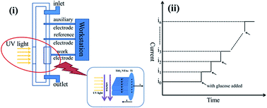 Graphical abstract: Photoelectrochemical detection performance and mechanism discussion of Bi2O3 modified TiO2 nanotube arrays