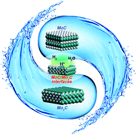 Graphical abstract: Heteronanowires of MoC–Mo2C as efficient electrocatalysts for hydrogen evolution reaction