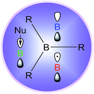 Graphical abstract: Recent developments in and perspectives on three-coordinate boron materials: a bright future