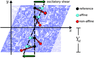 Graphical abstract: Importance of non-affine viscoelastic response in disordered fibre networks