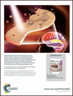 Graphical abstract: Back cover