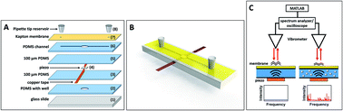 Graphical abstract: Microfluidic detection with acoustic spectroscopy (MIDAS) for analysis of insulin formulation stability