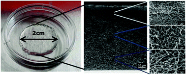 Graphical abstract: Applying macromolecular crowding to 3D bioprinting: fabrication of 3D hierarchical porous collagen-based hydrogel constructs