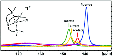 Graphical abstract: A cobalt(ii) complex with unique paraSHIFT responses to anions