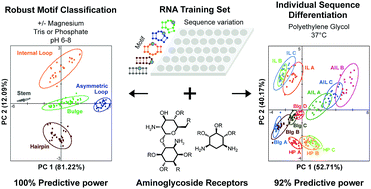 Graphical abstract: Sensing the impact of environment on small molecule differentiation of RNA sequences