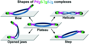 Graphical abstract: cis-Protected palladium(ii) based binuclear complexes as tectons in crystal engineering and the imperative role of the cis-protecting agent