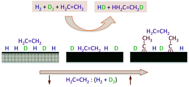 Graphical abstract: Kinetics of hydrogen adsorption during catalytic reactions on transition metal surfaces