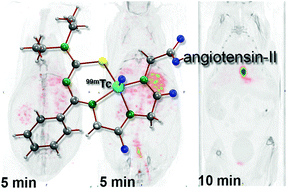 Graphical abstract: Thiourea derivatives as chelating agents for bioconjugation of rhenium and technetium