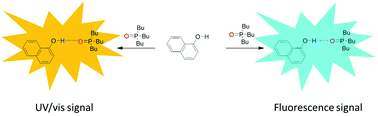 Graphical abstract: Fluorescent and colorimetric molecular recognition probe for hydrogen bond acceptors