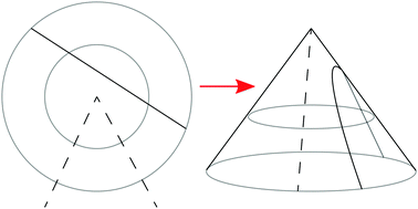 Graphical abstract: Frame, metric and geodesic evolution in shape-changing nematic shells