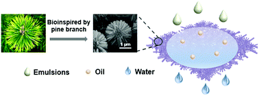 Graphical abstract: Pine-branch-like TiO2 nanofibrous membrane for high efficiency strong corrosive emulsion separation