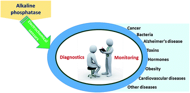 Graphical abstract: Alkaline phosphatase-based electrochemical sensors for health applications