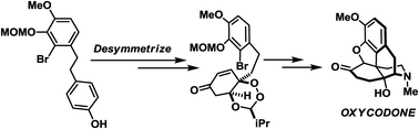 Graphical abstract: A desymmetrization-based approach to morphinans: application in the total synthesis of oxycodone