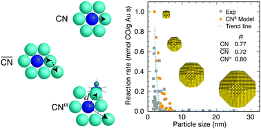 Graphical abstract: Coordination numbers for unraveling intrinsic size effects in gold-catalyzed CO oxidation