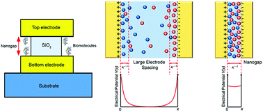 Graphical abstract: A label-free aptamer-based nanogap capacitive biosensor with greatly diminished electrode polarization effects