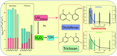 Graphical abstract: Efficient degradation of cytotoxic contaminants of emerging concern by UV/H2O2