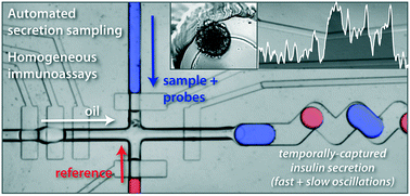 Graphical abstract: Automated microfluidic droplet sampling with integrated, mix-and-read immunoassays to resolve endocrine tissue secretion dynamics