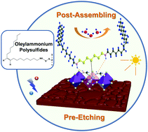 Graphical abstract: Enhanced moisture stability of metal halide perovskite solar cells based on sulfur–oleylamine surface modification