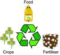 Graphical abstract: Sulfur polymer composites as controlled-release fertilisers