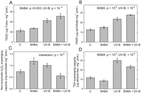 Graphical abstract: Single-dose β-aminobutyric acid treatment modifies tobacco (Nicotiana tabacum L.) leaf acclimation to consecutive UV-B treatment