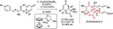 Graphical abstract: Enantioselective synthesis of 3-amino-hydrobenzofuran-2,5-diones via Cu(i)-catalyzed intramolecular conjugate addition of imino esters