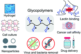 Graphical abstract: Copolymers containing carbohydrates and other biomolecules: design, synthesis and applications