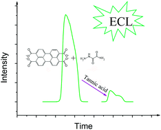 Graphical abstract: Electrochemiluminescence of 3,4,9,10-perylenetetracarboxylic acid/oxamic hydrazide and its application in the detection of tannic acid