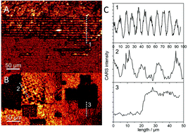 Graphical abstract: CARS-imaging guidance for fs-laser ablation precision surgery