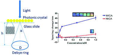 Graphical abstract: Fabrication of an antibiotic-sensitive 2D-molecularly imprinted photonic crystal