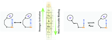 Graphical abstract: Electrostatic polarization of nonpolar substrates: a study of interactions between simple cations and Mo-bound N2