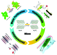 Graphical abstract: MXene and MXene-based composites: synthesis, properties and environment-related applications