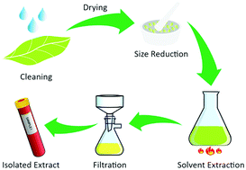 Graphical abstract: Green synthesis of metal oxide nanostructures using naturally occurring compounds for energy, environmental, and bio-related applications