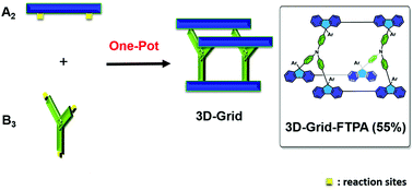 Graphical abstract: A convenient one-pot nanosynthesis of a C(sp2)–C(sp3)-linked 3D grid via an ‘A2 + B3’ approach