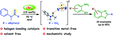 Graphical abstract: An efficient synthesis of benzothiazole using tetrabromomethane as a halogen bond donor catalyst