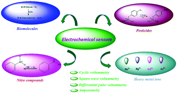 Graphical abstract: A review of the advanced developments of electrochemical sensors for the detection of toxic and bioactive molecules