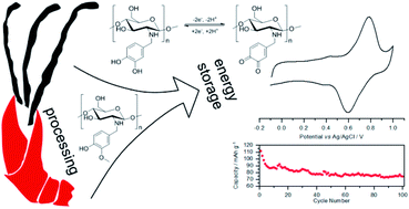 Graphical abstract: Vanillin decorated chitosan as electrode material for sustainable energy storage