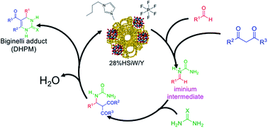 Graphical abstract: Tuning the Biginelli reaction mechanism by the ionic liquid effect: the combined role of supported heteropolyacid derivatives and acidic strength