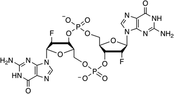 Graphical abstract: 2′-Fluoro-c-di-GMP as an oral vaccine adjuvant