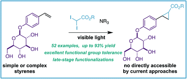 Graphical abstract: A transition-metal-free & diazo-free styrene cyclopropanation